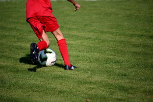 开云体育网页入口-体育新闻中心联合高校打造“体育+传媒”实践课程体系